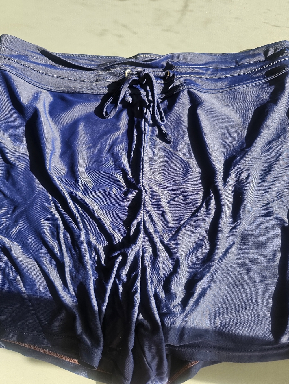 Womens Navy Blur Swim Shorts Sz 2x